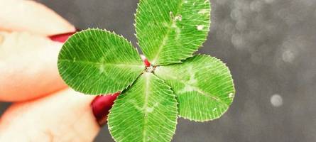 reise ins glück – neuer abendkurs des brk augsburg-stadt