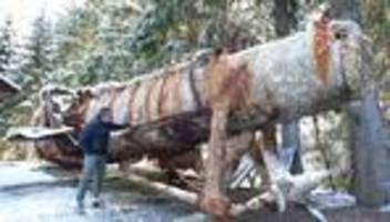 Harz: U-Boot-Wrack kommt ins Museum Benneckenstein