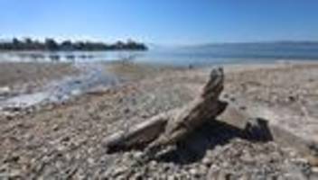 Niedrigwasser-Lagebericht: Landesamt für Umwelt: Jahr war deutlich zu trocken