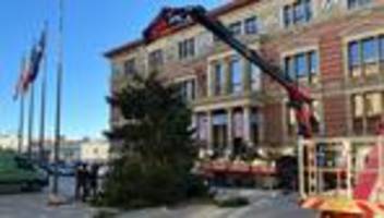 Weihnachten: Weihnachtsbaum für Abgeordnetenhaus zerbricht - und nun?