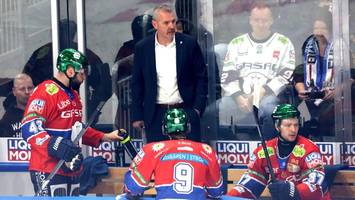 eisbären: schwacher start in eine schwere woche