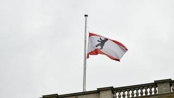 weihnachtsbaum zerbricht vor abgeordnetenhaus – notlösung soll helfen