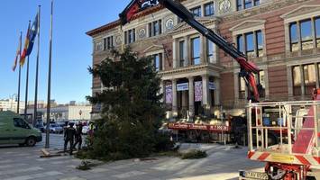 Weihnachtsbaum zerbricht vor Abgeordnetenhaus – Notlösung soll helfen