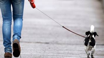 Hundeleinen-Würger hörte auf fremde Stimmen – Urteil