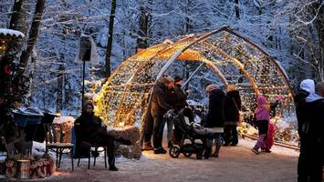 weihnachtsmarkt unter tieren eröffnet im wildpark eekholt