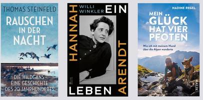 Literatur: Von SZ-Autoren