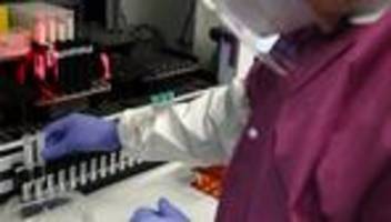 H5N5: USA melden ersten Toten durch seltenes Vogelgrippevirus