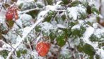 Wetter: Thüringen bibbert - was jetzt wichtig ist