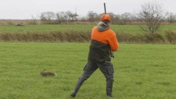 schüsse an der grundstücksgrenze: anwohner verärgert über jäger