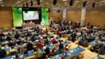 Landesparteitag der Grünen: Touré setzt auf Team statt Männer-Zweikampf