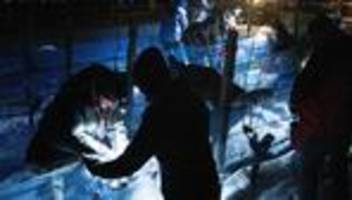 Rarität aus dem Weinberg: Perfekte Bedingungen für Eisweinlese im Elbtal