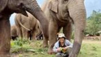 Tierschutz in Thailand: Die Elefantenflüsterin von Chiang Mai