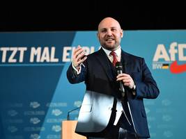 baden-württemberg: und die afd lacht sich ins fäustchen