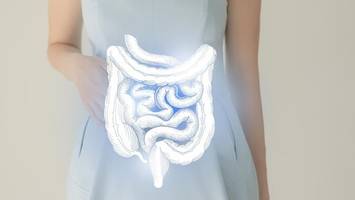 ultraverarbeitete lebensmittel: studie zeigt erhöhtes risiko für darmkrebs