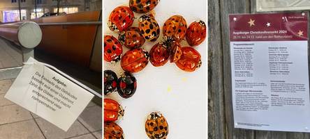 schlechte laune? nein! augsburger machen hampelmänner vor glück