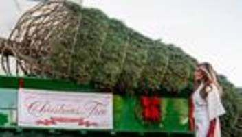 Festtagsstimmung: Weihnachtsbaum und Truthähne im Weißen Haus