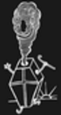 harald martenstein: Über nachrufe auf lebende, bob dylan und die rückkehr einer unperson