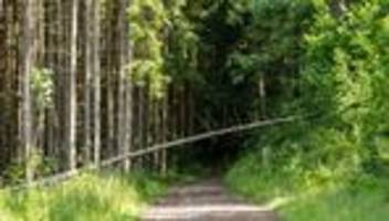 neue app: waldecho-app startet - bürger melden probleme im forst