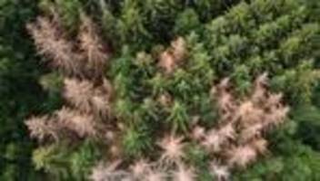 Unfälle: Wanderer stirbt bei Totenehrung in der Sächsischen Schweiz