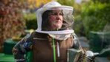 honigbienen: wer hat ihre bienen ermordet?