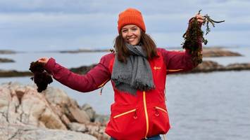 Berliner Start-up: „Fischersatz aus Meeresalgen ist die Zukunft“