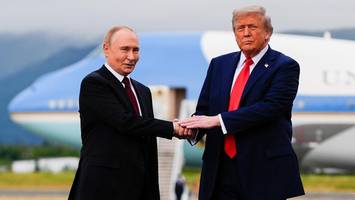 friedensplan für die ukraine: „wirkt wie aus einem mafioso-film“