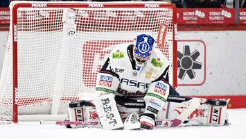 eisbären-reaktion beim spitzenreiter: tage des donners