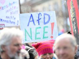 familienunternehmen: die normalisierung der afd in wirtschaftskreisen ist hochgefährlich