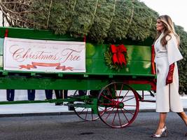 leute: melania trump empfängt den weihnachtsbaum