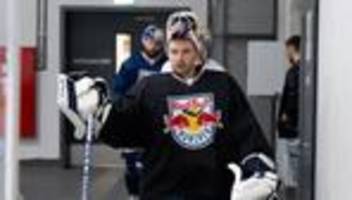 deutsche eishockey liga: niederberger fällt bei red bull münchen wochenlang aus