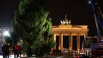 Mit Lieferschwierigkeiten: Weihnachtsbaum am Brandenburger Tor aufgestellt