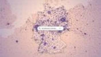 zugezogene in deutschen städten: wo kommen die großstädter eigentlich her?