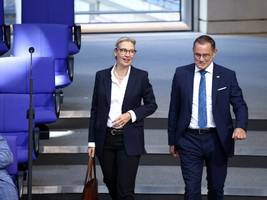 AfD im Bundestag: War da irgendwas?