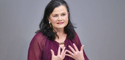 CDU/CSU: Wirtschaftsflügel der Union geht auf Distanz zur AfD-Strategie der Familienunternehmer