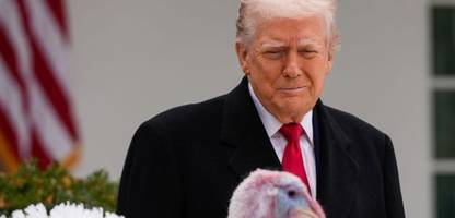 Thanksgiving-Tradition: Donald Trump begnadigt »Waddle« und »Gobble« und teilt gegen Demokraten aus