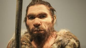 archäologen finden hinweise auf kannibalismus unter neandertalern