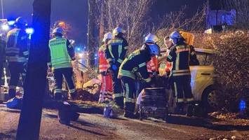 Unfall in Bönningstedt: Pkw-Fahrer fällt Baum und wird schwer verletzt