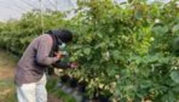 Ausbeutung von Migranten: Menschenhandel in Portugal: Elf Polizisten festgenommen