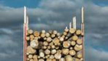 holzverbrennung: der kampf ums altholz ist eröffnet