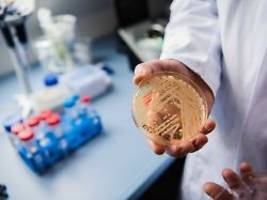 Ansteckung per Schmierinfektion: Ein tödlicher Pilz nistet sich in Europas Krankenhäusern ein