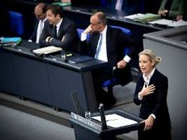 Schädling! Schämen Sie sich!: Fünf Aufreger prägen Debatte um die große Merz-Rede