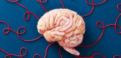 gehirn: diese fünf phasen durchläuft es im leben