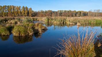 Leiche im Moor gefunden – Was bisher bekannt ist
