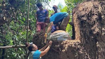 Rätselhafte Urnen im Amazonas: Spurensuche auf künstlicher Insel