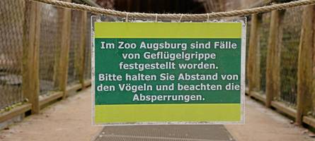 Augsburger Zoo reagiert mit Schutzmaßnahmen gegen die Vogelgrippe