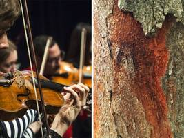Naturschutz: Der Bogen ist überspannt
