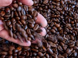 medizin: kaffee wird zum wundermittel