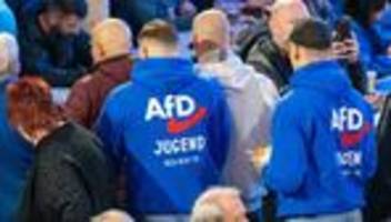 afd-jugendorganisation: verfassungsschutz sieht von sofortiger einstufung der afd-jugend ab