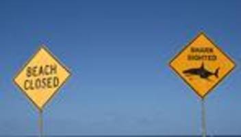 Angriff nördlich von Sydney: Haiattacke in Australien – Frau stirbt, Mann schwer verletzt