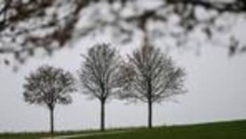 DWD-Prognose: Kalt, trüb und stellenweise nass - Wetter bleibt schmuddelig